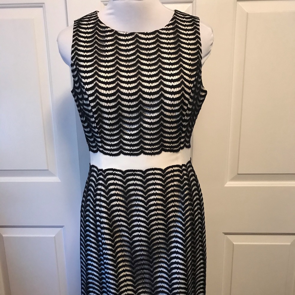 Beautiful!! Cream with Black Overlay.